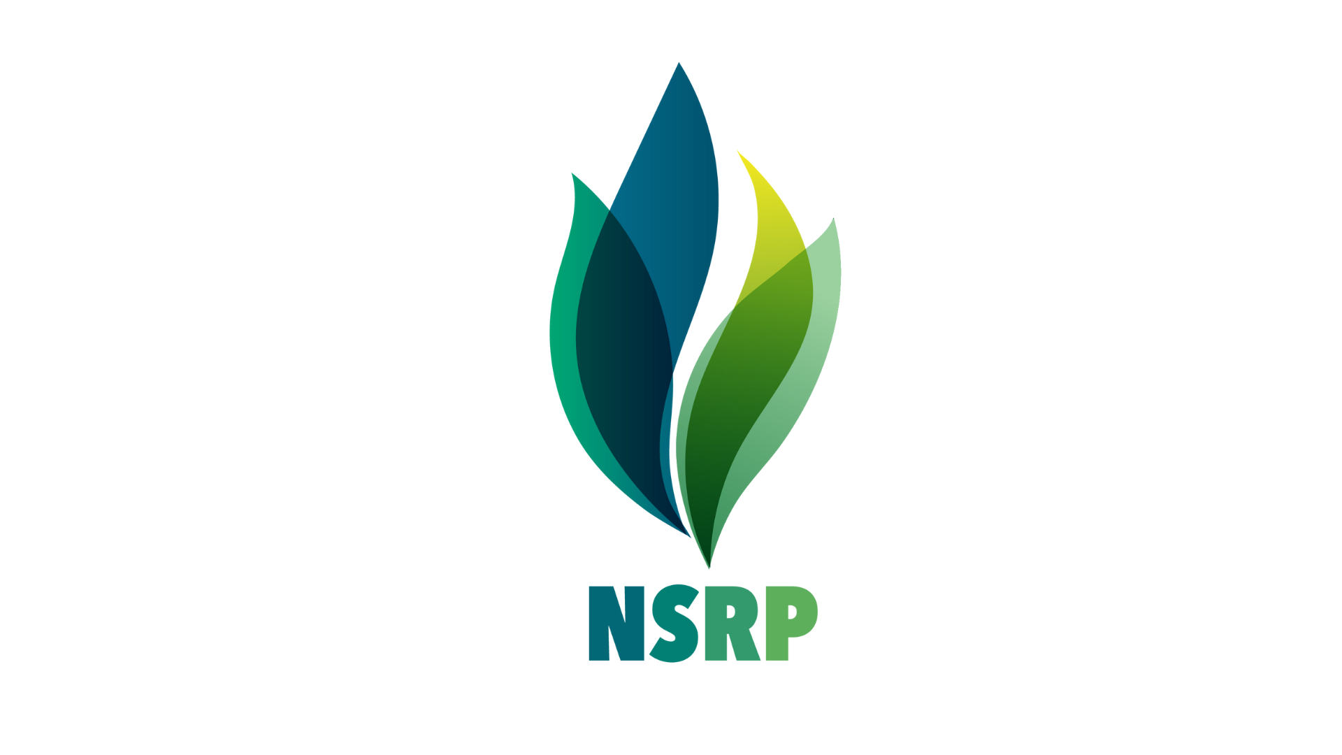 Nghi Sơn Refinary and Petrochemicals